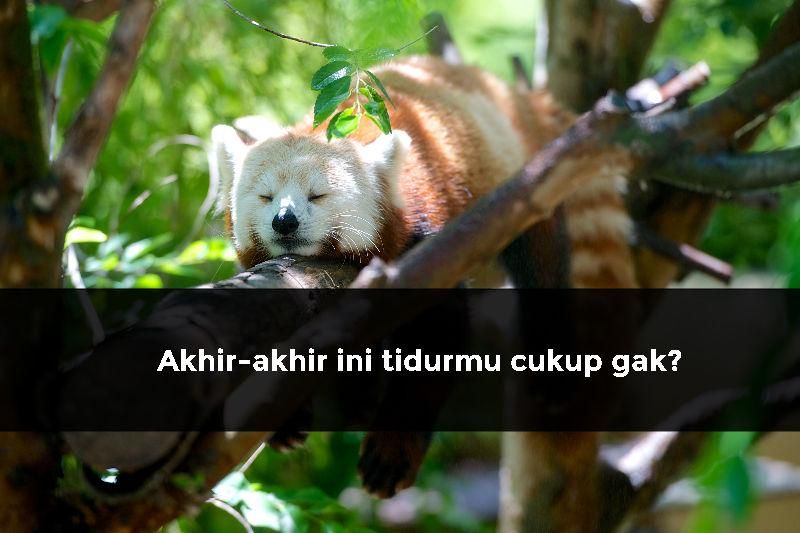 Sumber Gambar: unsplash.com