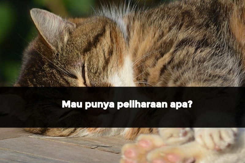 Sumber Gambar: pixabay.com