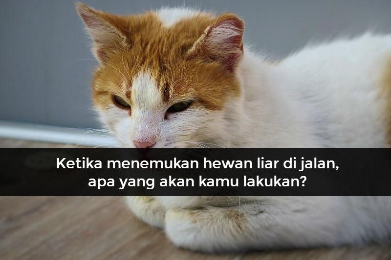 Sumber Gambar: pixabay.com