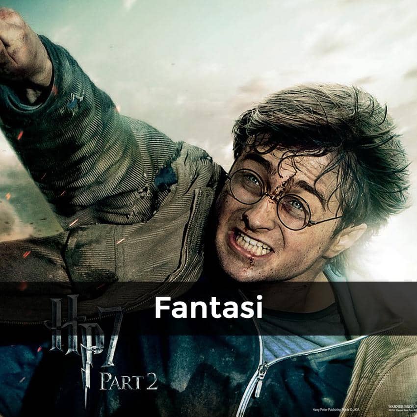 harrypotter.wikia.com