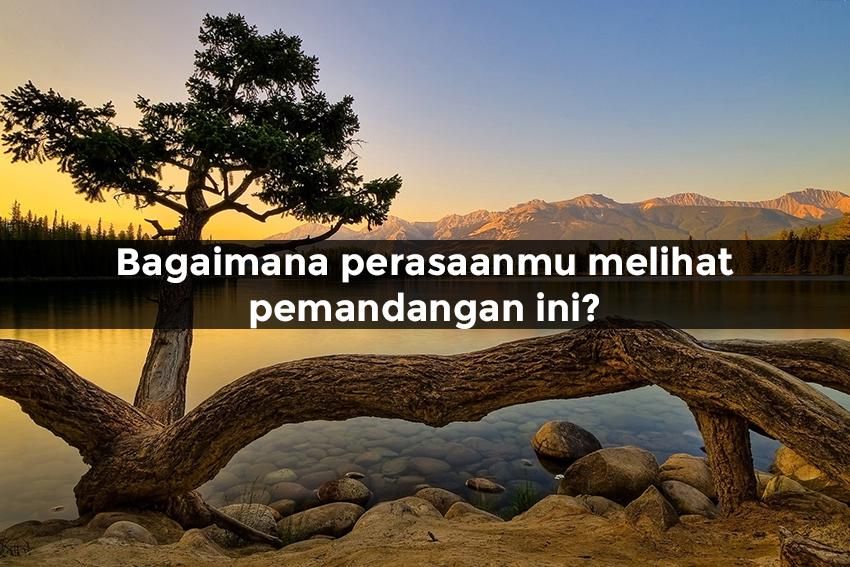 freestockphotos.name