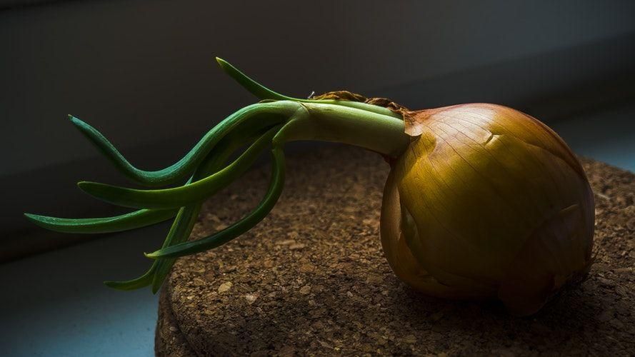 Menyedapkan Masakan, Ini 6 Manfaat Bawang Bombay untuk Ibu Hamil