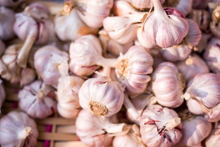 ilustrasi bawang putih (unsplash.com/team voyas)