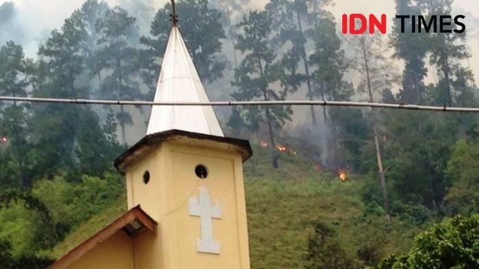 Karhutla Hanguskan 50 Ha Hutan di Muara Taput