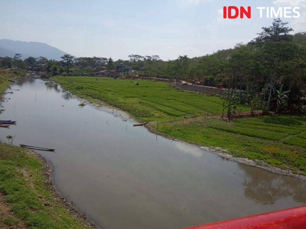 Luasan Rawa Pening Jauh Menyusut Akibat Merebaknya Eceng Gondok | IDN ...