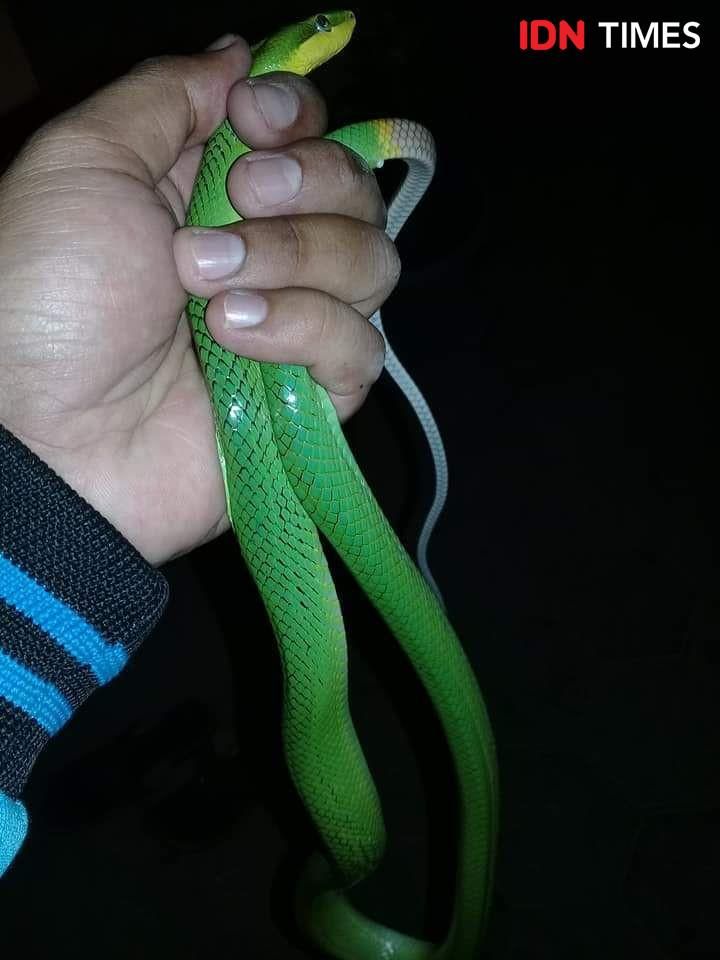 Sofiya Temnikova bilan jinsiy aloqa