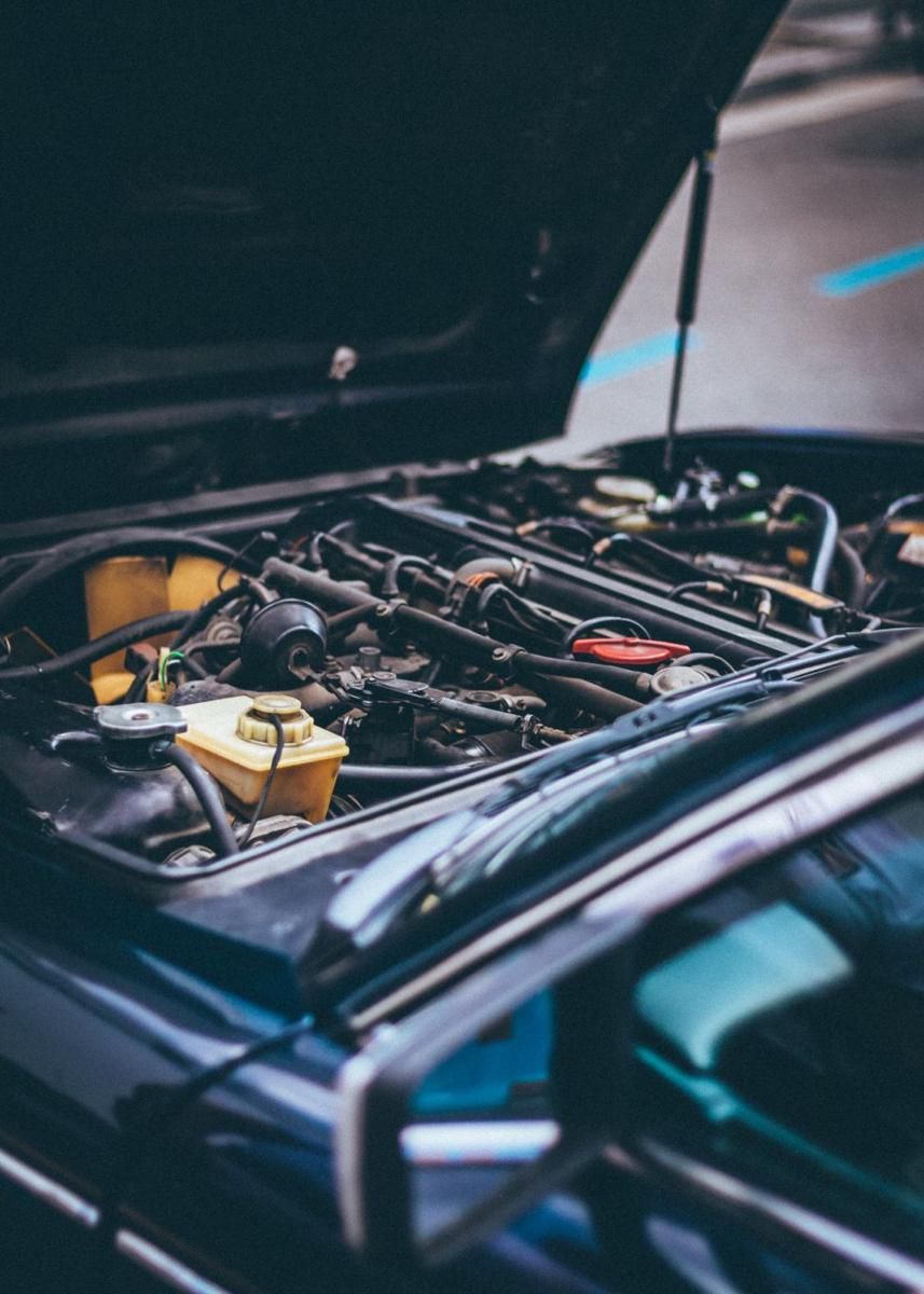 Kenapa Tikus Guka Gigitin Kabel Mobil?
