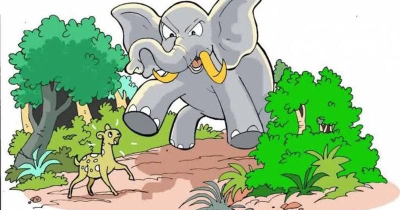 Cerita Dongeng Kancil dan Gajah