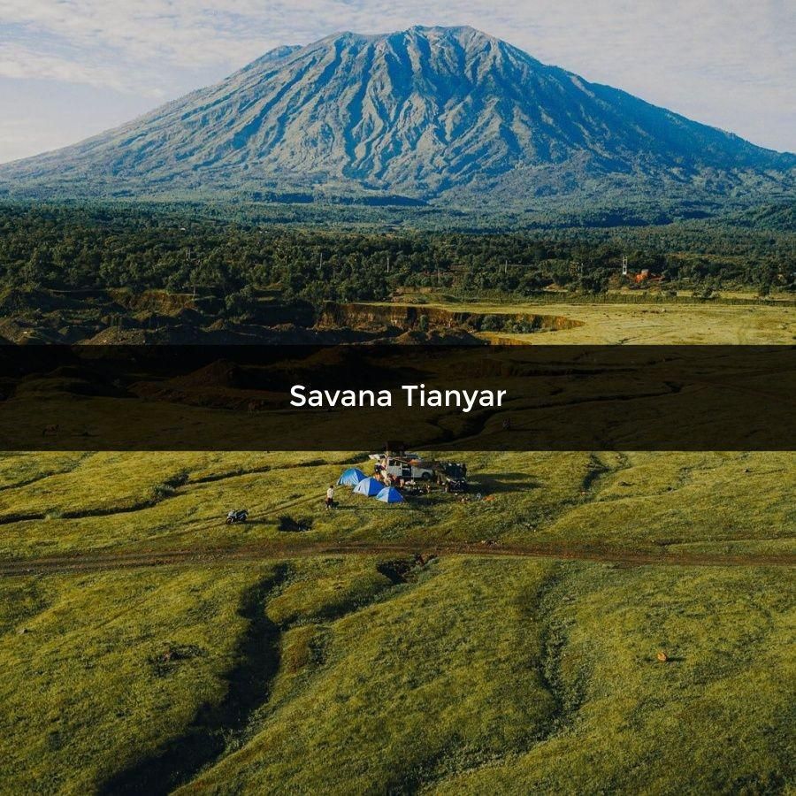 Savana Tianyar