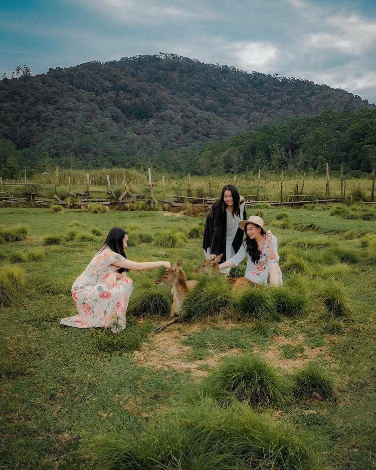 10 Wisata Alam di Bandung yang Tersembunyi, Indah Pesonanya ...