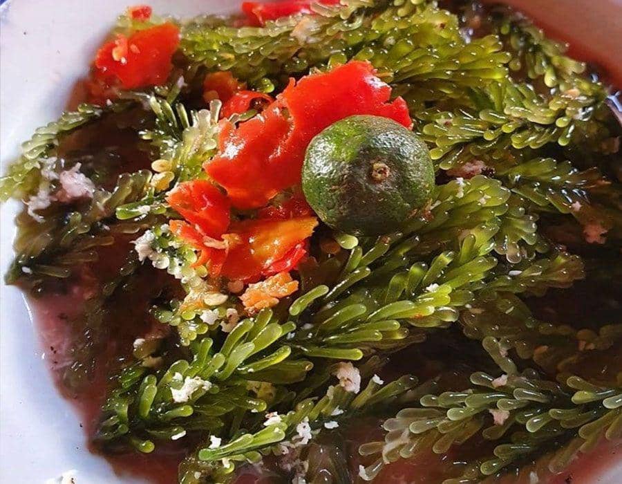 rujak bulung boni (instagram.com/warung_men_gege)