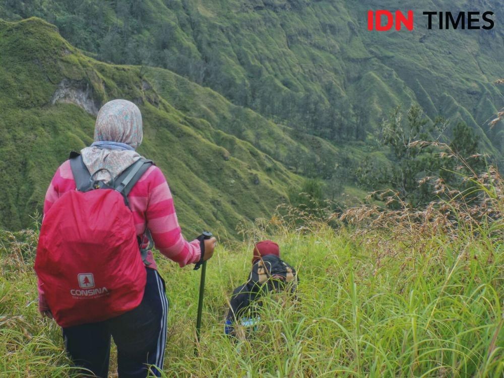 Ilustrasi pendakian di Gunung Rinjani Lombok IDN Times/Ahmad Viqi
