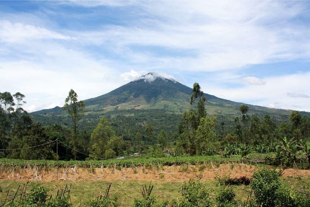 9 Rekomendasi Gunung di Jawa Barat, Cocok untuk Pendaki Pemula