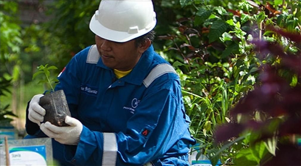 MedcoEnergi Operasikan Pembangkit Listrik Tenaga Surya 25MW di Bali 