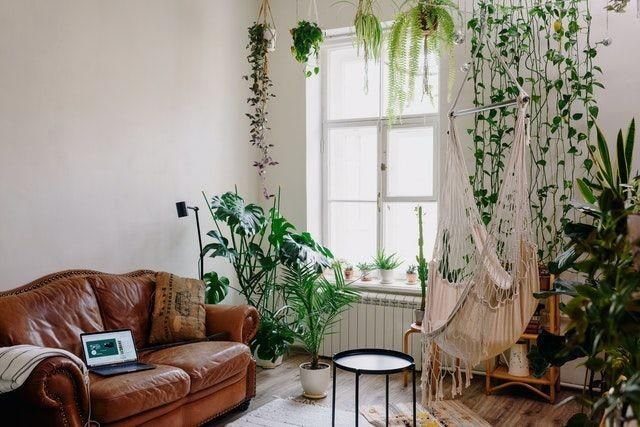 5 Tips Menyesuaikan Tanaman dengan Gaya Interior Rumah, Pertimbangkan!