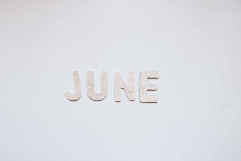 ilustrasi bulan Juni (unsplash.com/Glen Carrie)