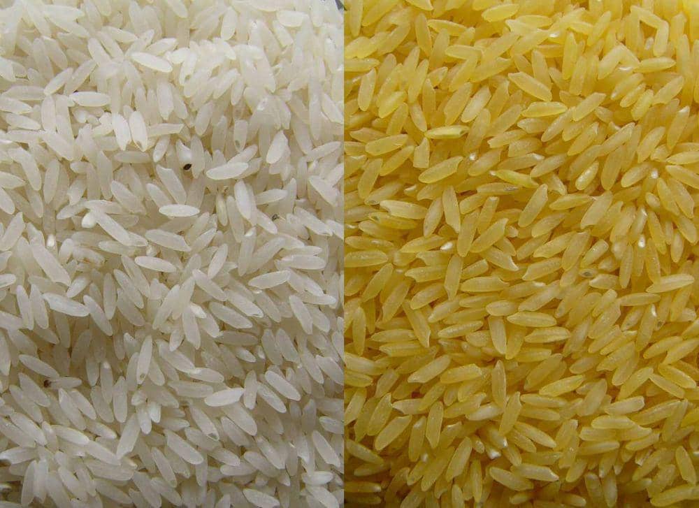 5 Fakta Golden Rice, Beras Emas Kaya Sumber Vitamin A | IDN Times