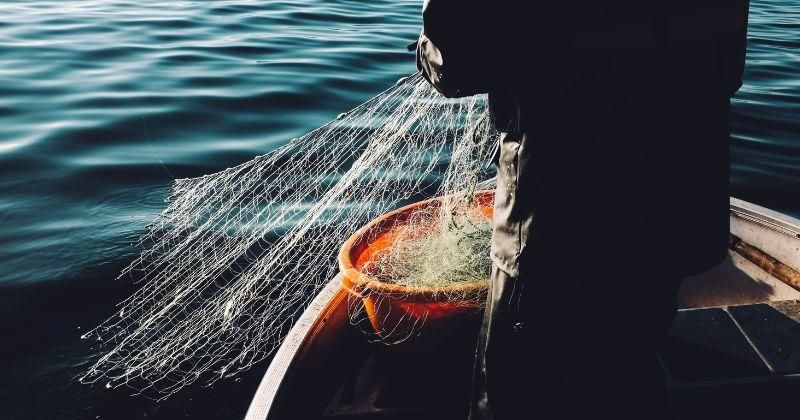 7 Arti Mimpi Mancing Ikan: Benarkah Akan Mendapat Rezeki Berlimpah?