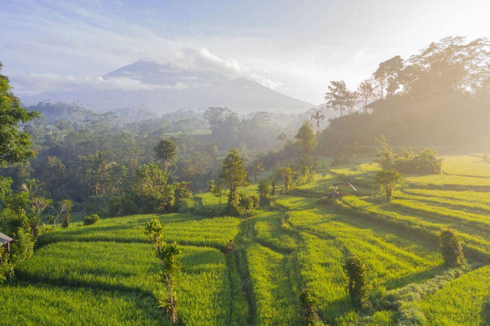 Ilustrasi alam Bali. (unsplash.com/Geio Tischler)