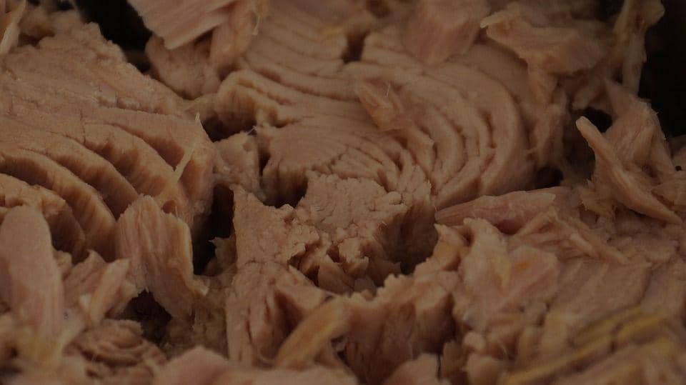 Tuna Reksa 5 Merek Tuna Kaleng untuk Ide Santapan Praktis | IDN Times