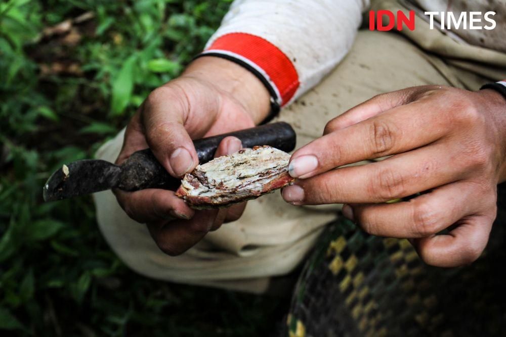 Lekat dengan Ritual Sesajen, Kemenyan Jadi Bahan Parfum dan Kosmetik