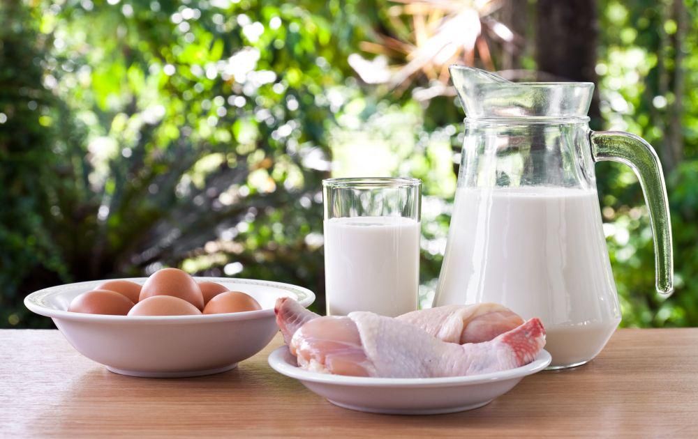 [QUIZ] Ketahui Kepribadianmu Berdasarkan Sumber Protein yang Kamu Pilih