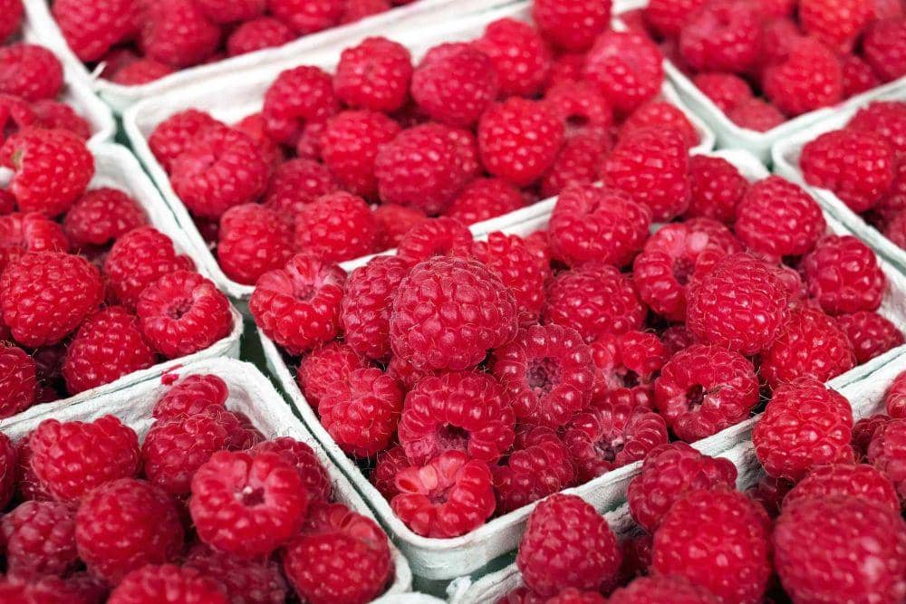 Fakta-Fakta Menarik Raspberry, Buah Segar Kaya Antioksidan | IDN Times