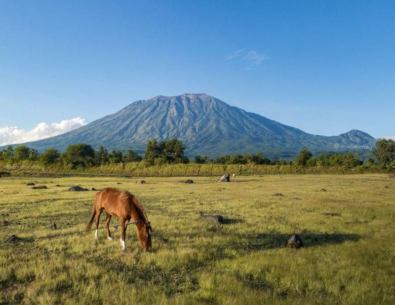 gambar pemandangan di Savana Tianyar yang menghijau (instagram.com/nowbalimag)