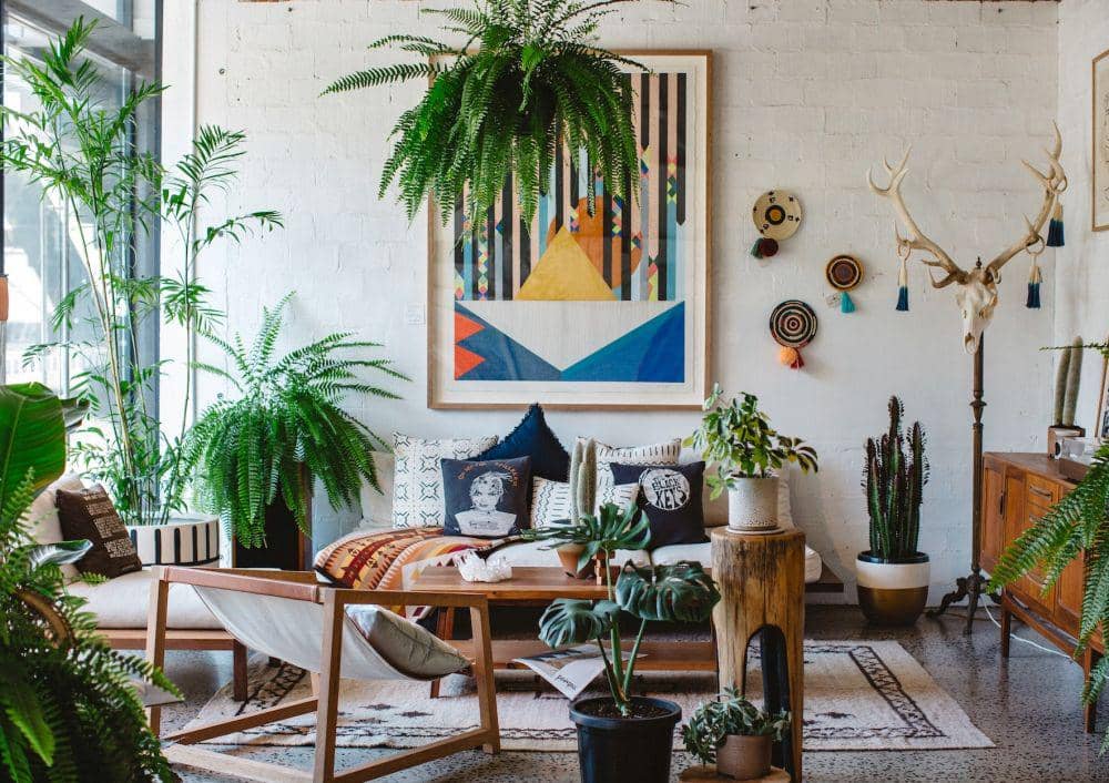 Ilustrasi desain rumah bohemian dengan cahaya alami yang cukup (unsplash.com/Luisa Brimble)