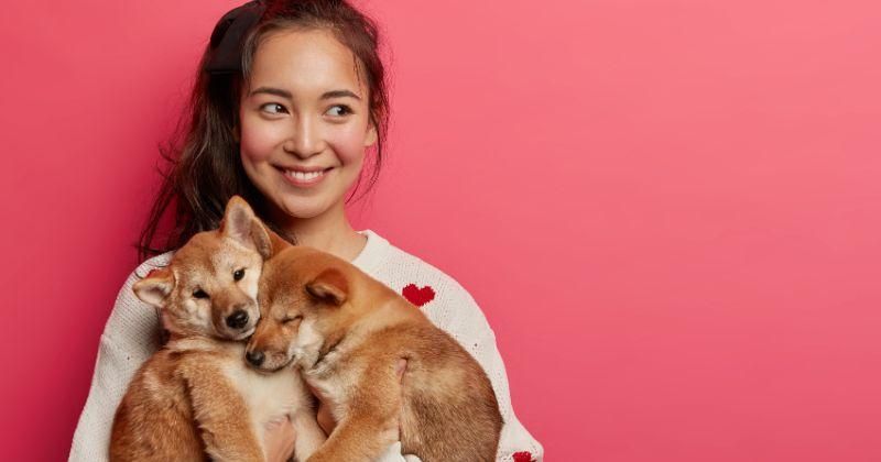 600 Nama Anjing Betina Inisial A-Z Beserta Artinya, Anti Pasaran