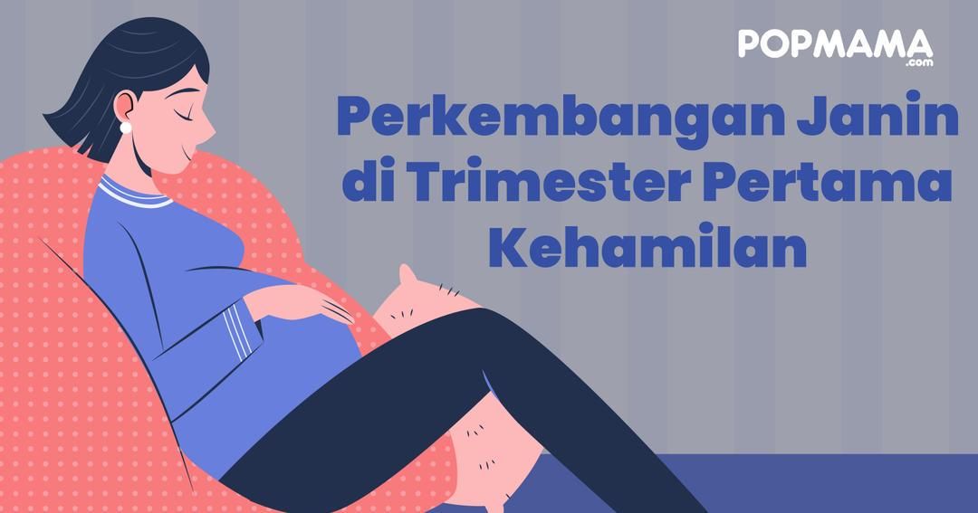 Infografik: Perkembangan Janin di Trimester Pertama Kehamilan