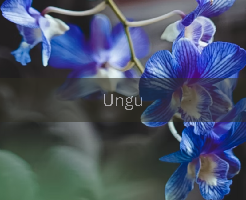 (Unsplsh/Kseniia Ilinykh)