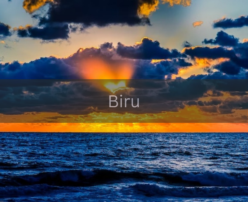 (Unsplash/Jay Antol)