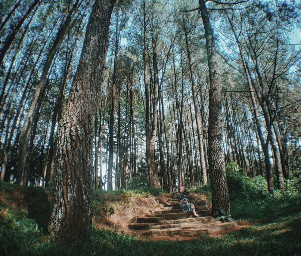 Informasi Wisata Bukit Baros: Lokasi, Rute, Harga Tiket, dan Tipsnya