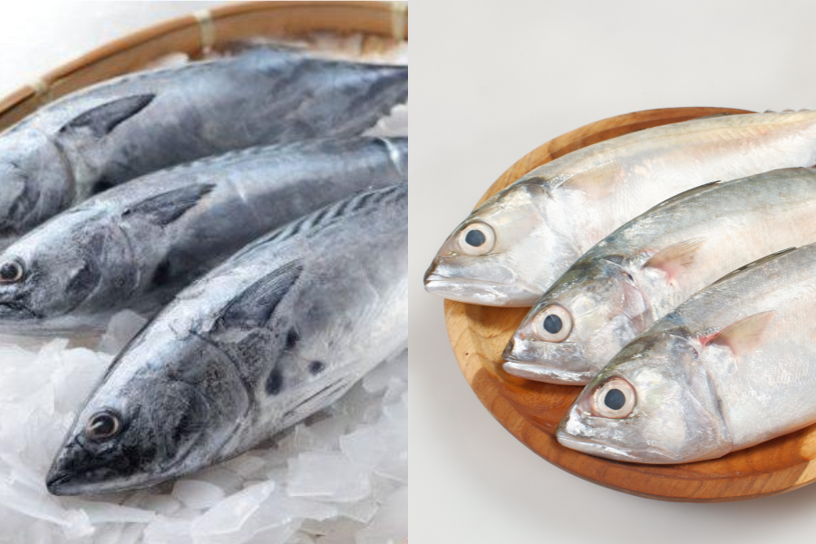 [QUIZ] Apakah Kamu Bisa Membedakan Ikan Kembung dan Ikan Tongkol Ini?