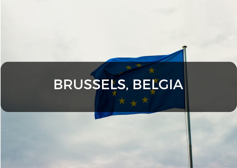 Bug xonasi kokraklarni yutib yubordi