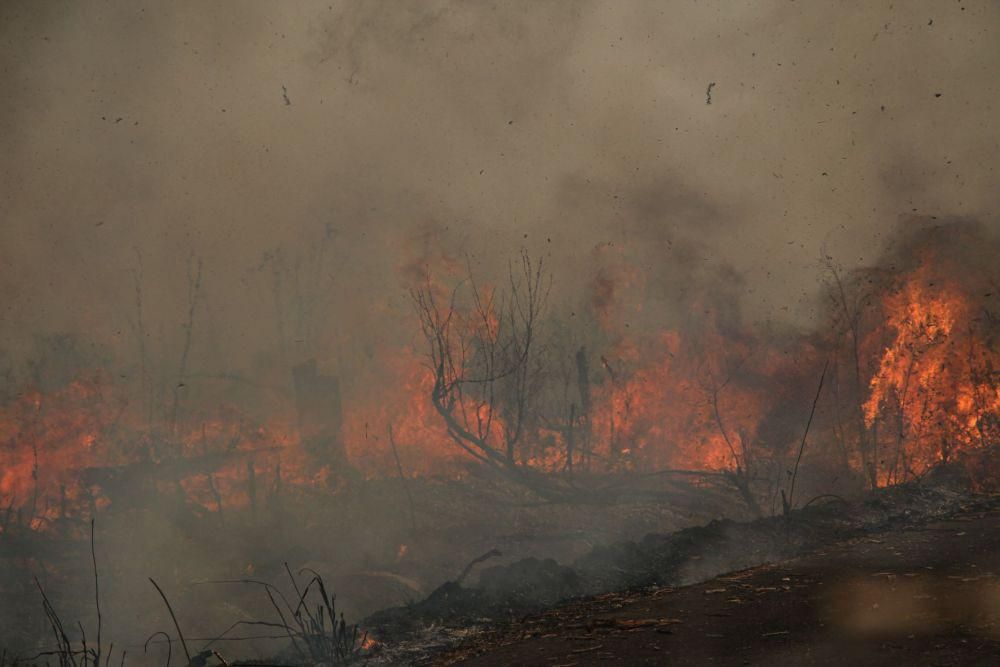 Kemarau Basah Diprediksi Tekan Risiko Kebakaran Lahan di Sulsel