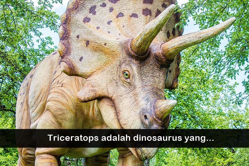 ilustrasi triceratops (pixabay.com/Kollinger)