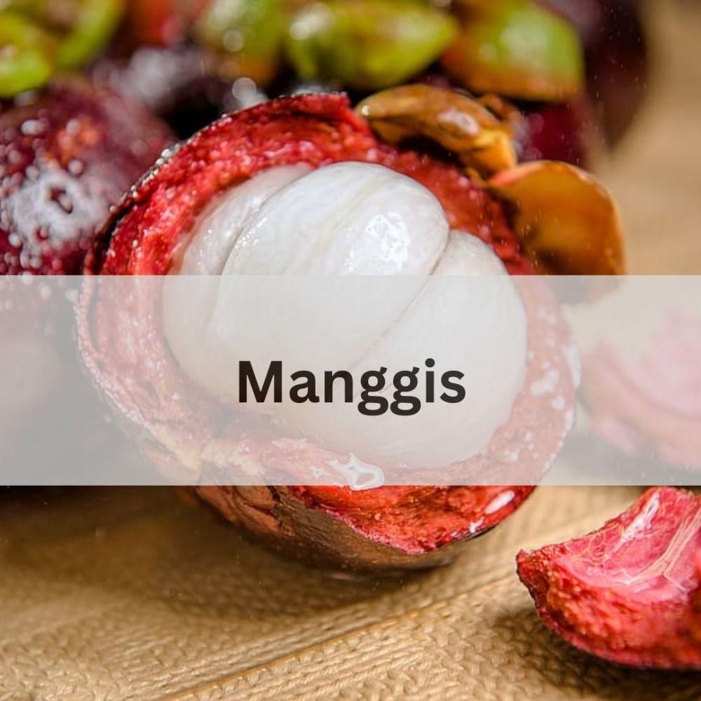 manggis