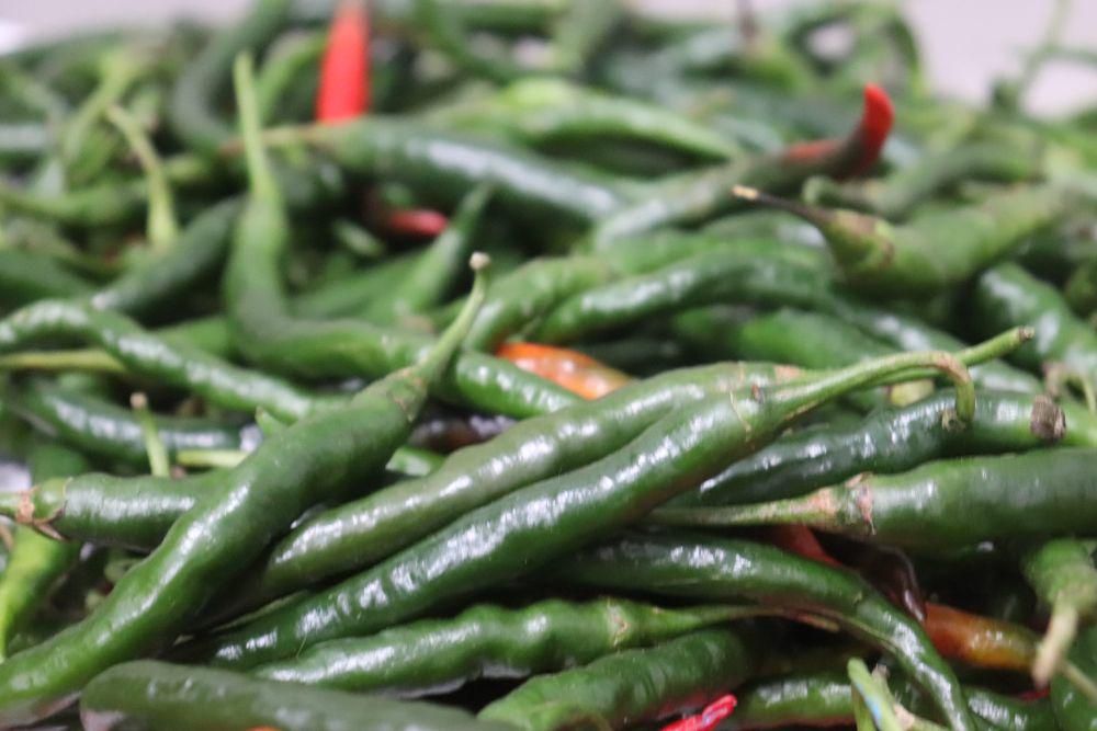 ilustrasi cabai keriting hijau (unsplash.com/Mufid Majnun)