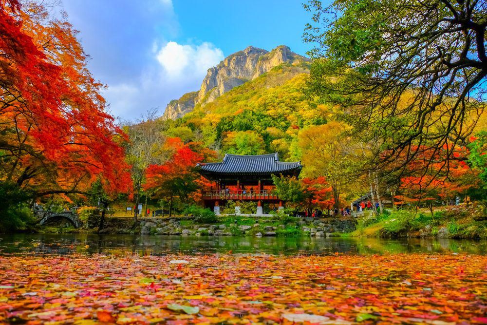 Naejangsan National Park (national-parks.org)