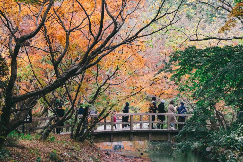 ilustrasi musim gugur di Jepang (unsplash.com/Tayawee Supan)