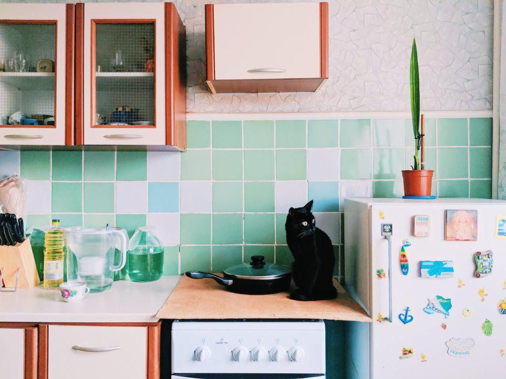 ilustrasi dapur (pexels.com/Dmitriy Zub)