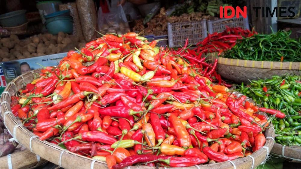 Inin Nastain IDN Times/ Beberapa jenis cabai di Majalengka naik