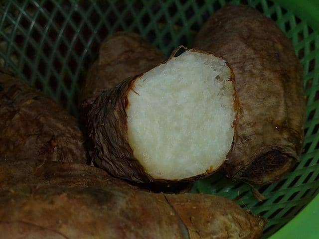 Gembili ketika dibelah menghasilkan daging umbi berwarna putih (commons.wikimedia.org/Hungda)