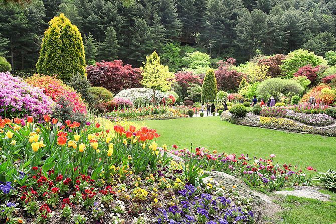 Potret The Garden of Morning Calm di Gapyeong, Provinsi Gyeonggi (morningcalm.co.kr)