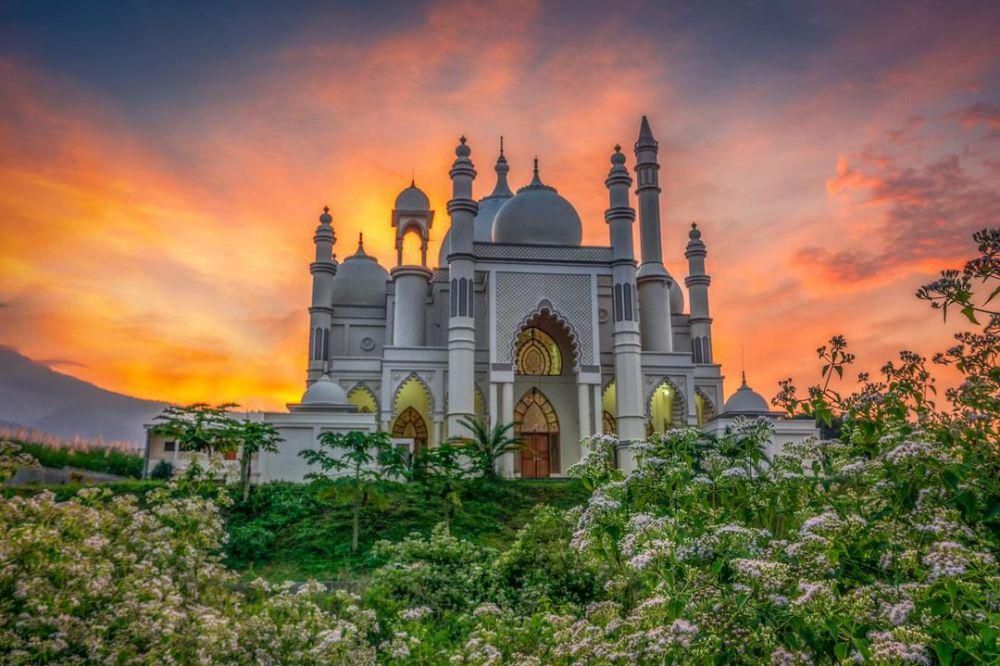 Mega qattiq mushtlash