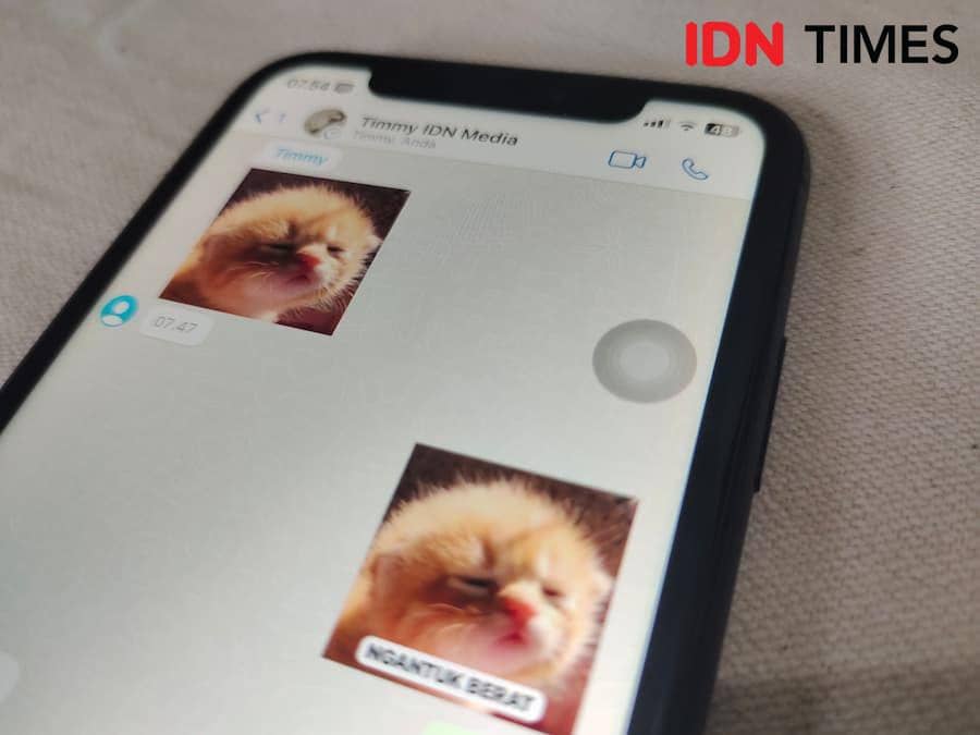 ilustrasi edit stiker WA (IDN Times/Laili)