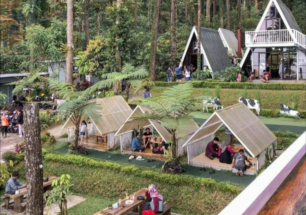 9 Info Massapi Cafe and Resto, Kulineran Sembari Healing | IDN Times Jateng