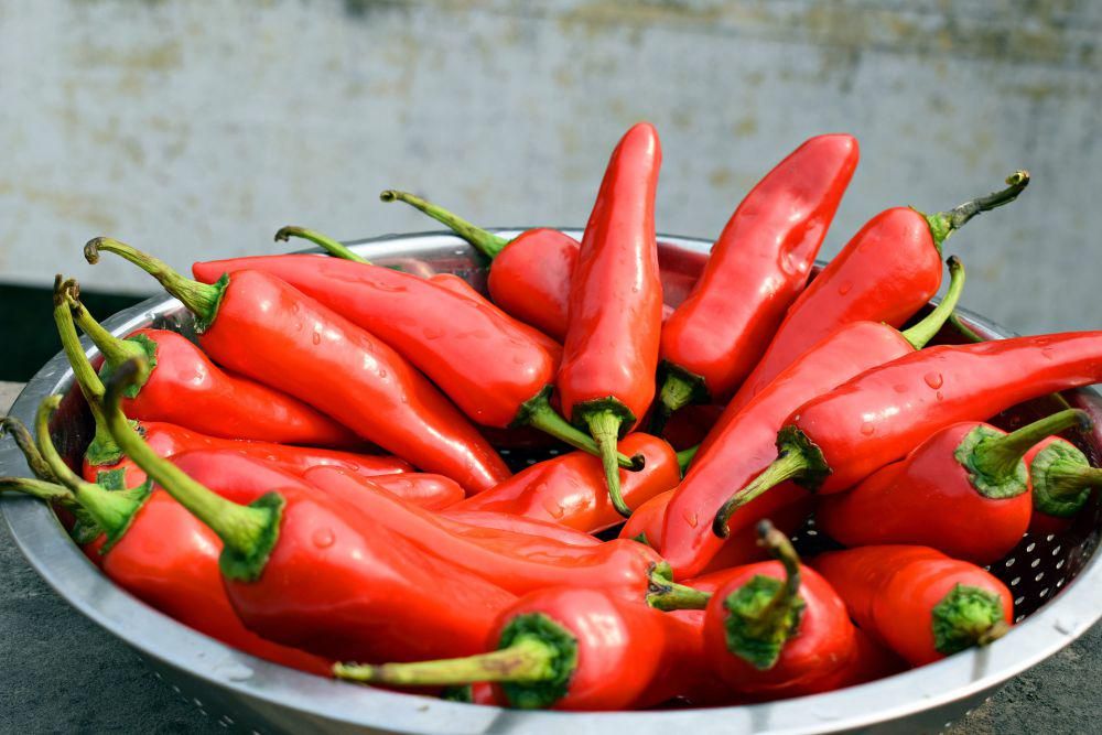 5 Tips Menyimpan Cabai Agar Awet dan Tidak Mudah Busuk